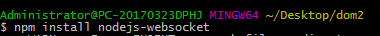node-websocket 模块命令安装