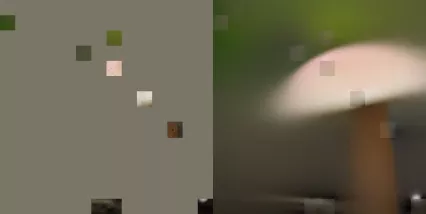 对于遮挡 95% 面积的图片依然 work