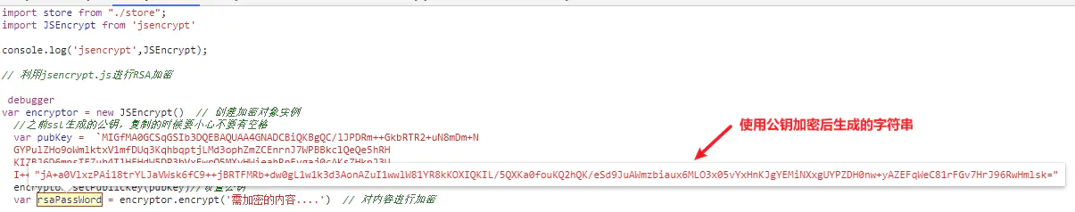 公钥加密后的字符串