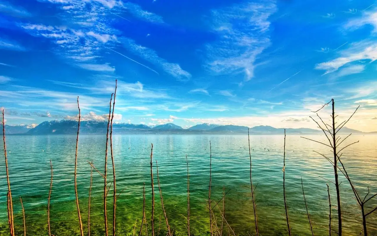 没有太多的贪婪心