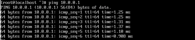 在虚拟机 2 上 ping 虚拟机 1