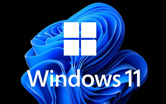 Windows 11 如何设置文件夹的只读属性?Windows 11 文件夹只读属性设置全攻略