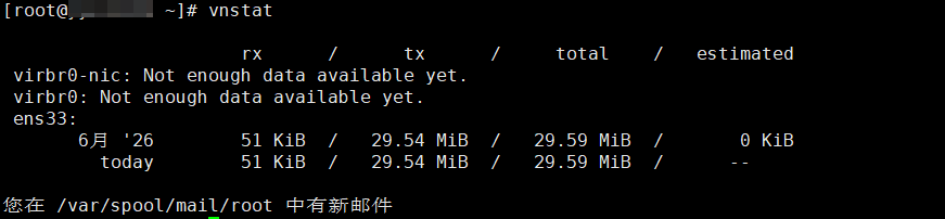 vnstat 查看统计摘要