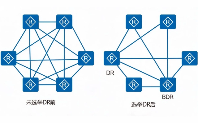 DR 和 BDR