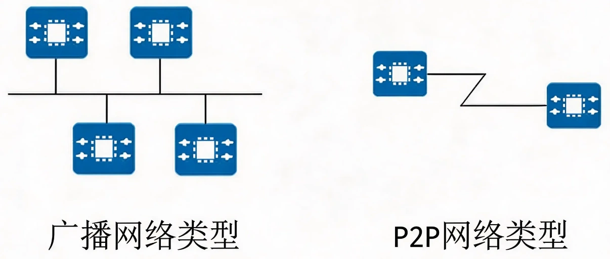 IS-IS 网络类型