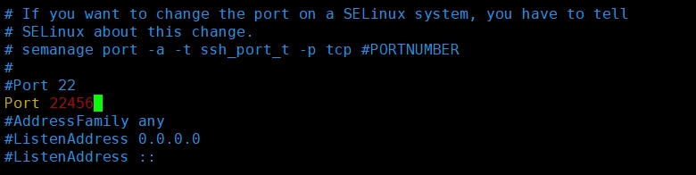 新端口连接 Linux 实例
